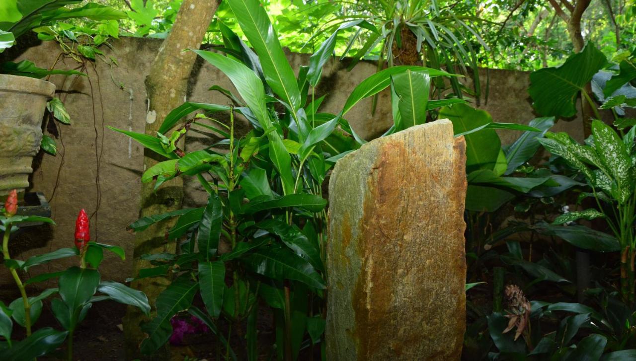 View Guesthouse & Bistro At Goyambokka Tangalle Exterior foto