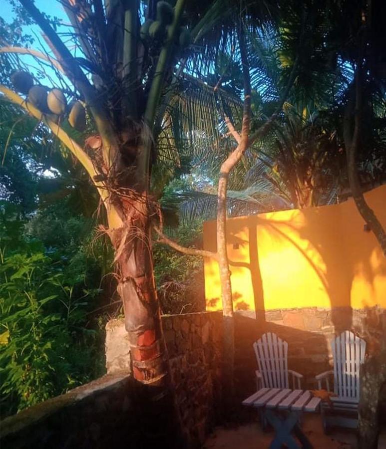 View Guesthouse & Bistro At Goyambokka Tangalle Exterior foto